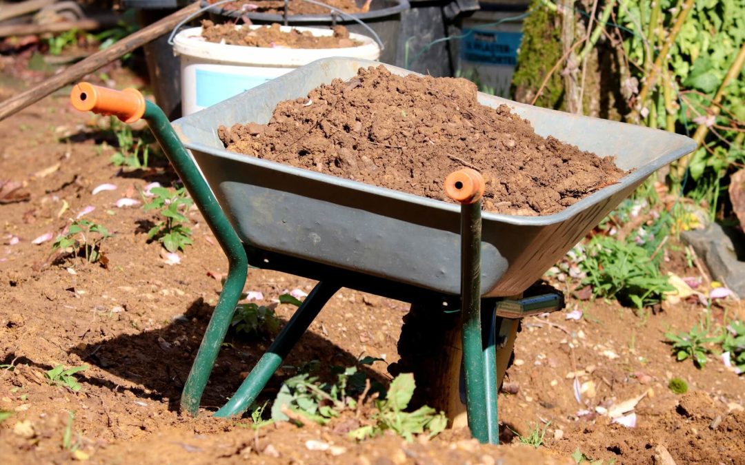 Jardin : les travaux de terrassement